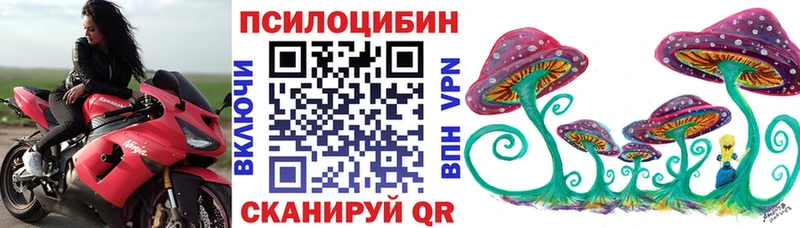 Галлюциногенные грибы Cubensis  наркошоп  Приволжск 